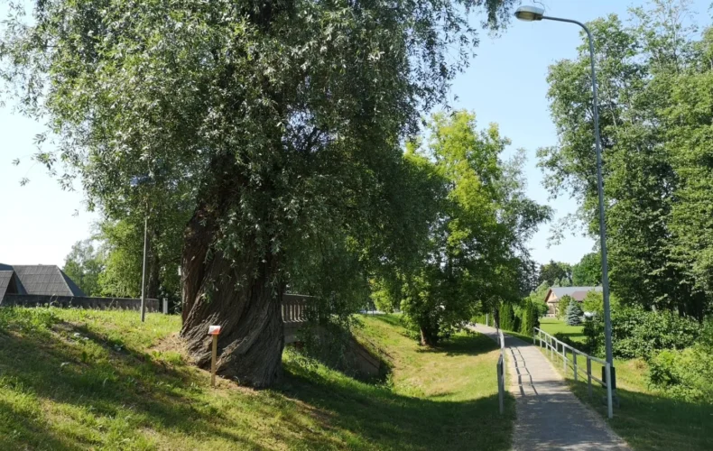 vecumnieku-orientesanas-poligons-002