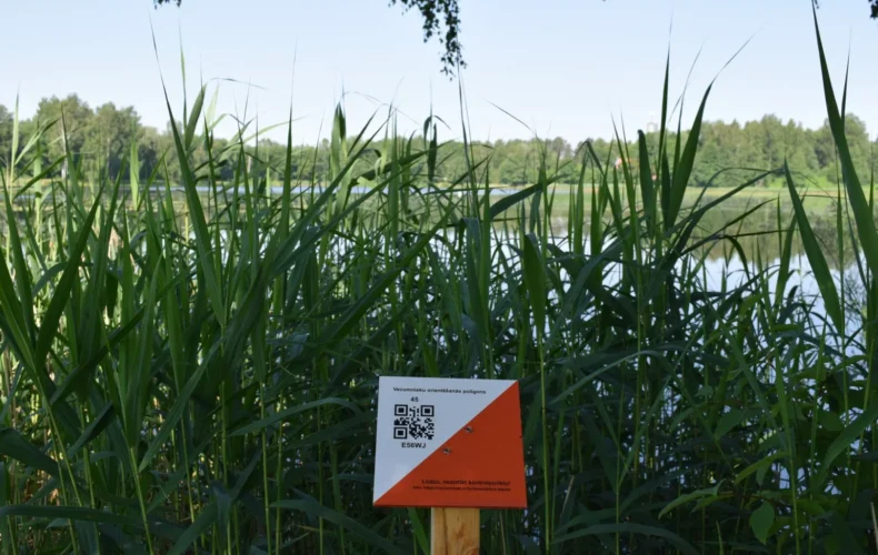 vecumnieku-orientesanas-poligons-003