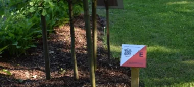 Vecumnieku orientēšanās poligons