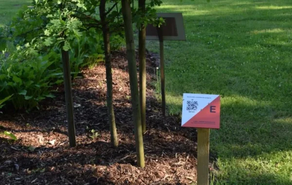 vecumnieku-orientesanas-poligons-005