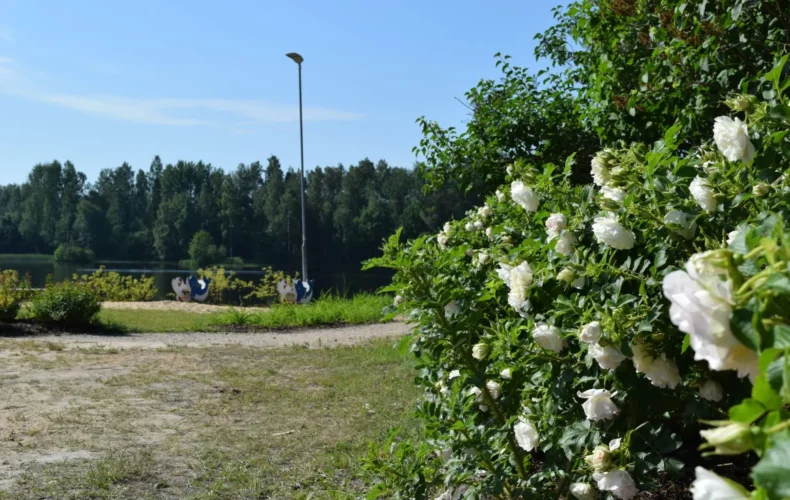 vecumnieku-vecais-ezers-003