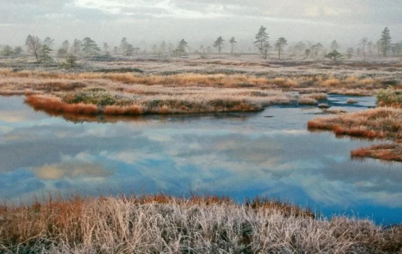 viru-purva-macibu-taka-001