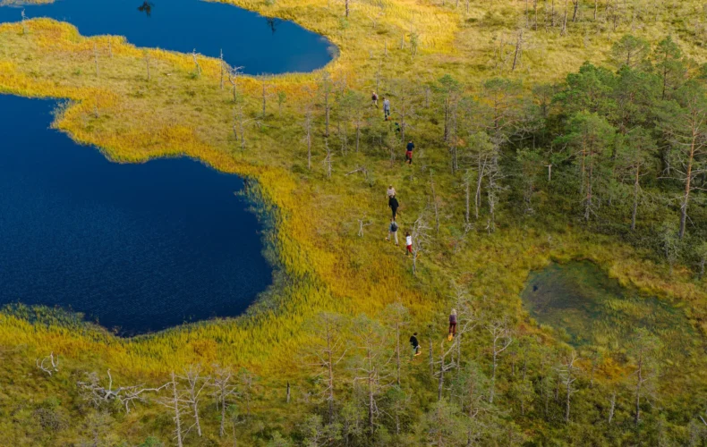 viru-purva-macibu-taka-002