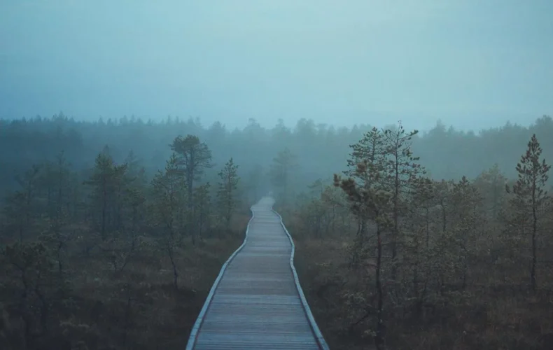 viru-purva-macibu-taka-003