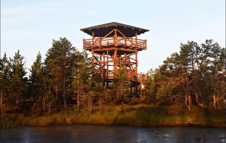 viru-purva-macibu-taka-004