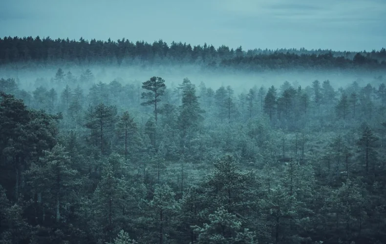 viru-purva-macibu-taka-005