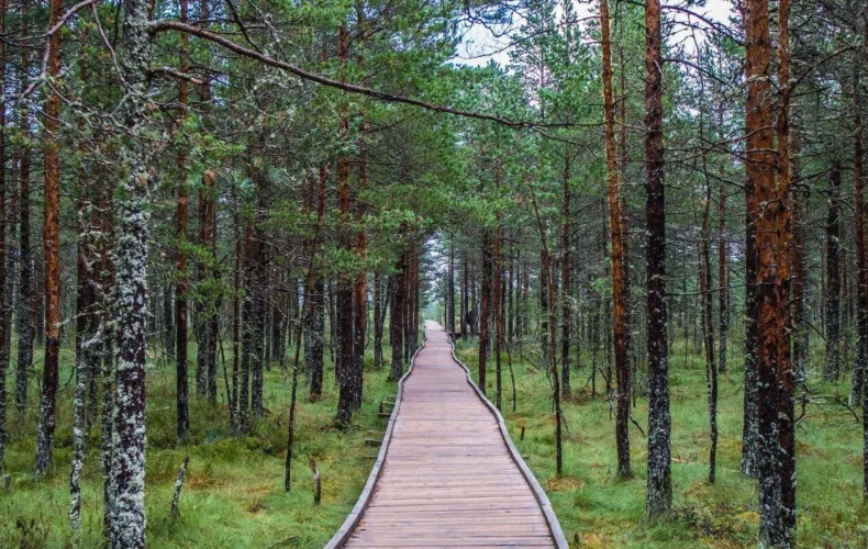 viru-purva-macibu-taka-006