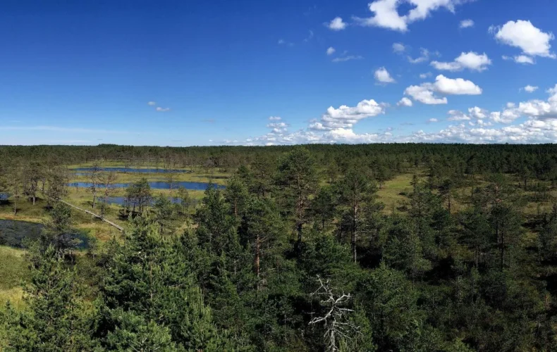 viru-purva-macibu-taka-008