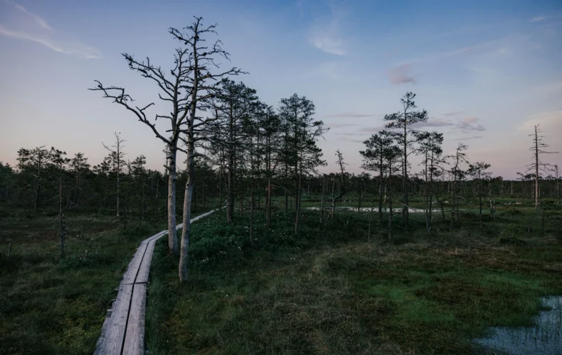 viru-purva-macibu-taka-010