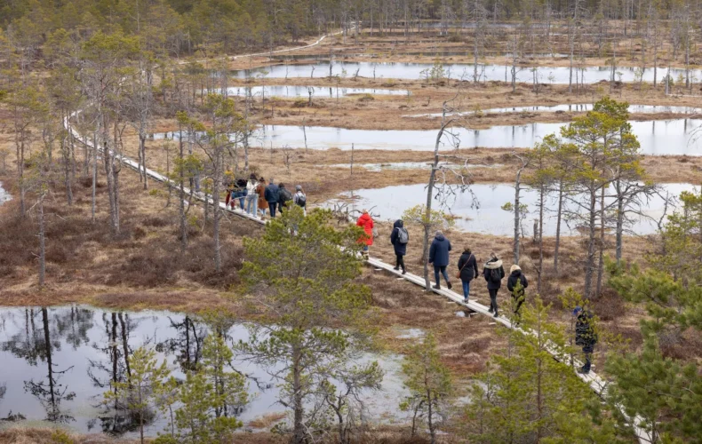 viru-purva-macibu-taka-012