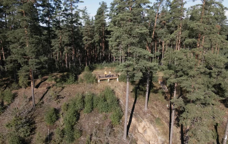 zvirgzdes-balta-kapa-001