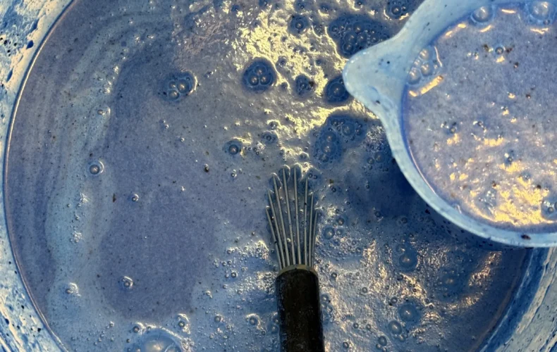 saldejuma-razotne-avenei-015