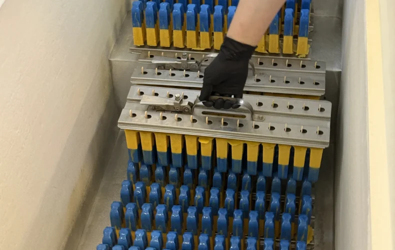 saldejuma-razotne-avenei-018