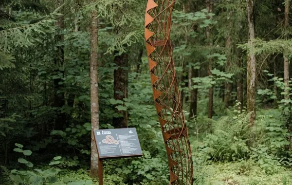 klases-ekskursija-erglos-darinatava-003