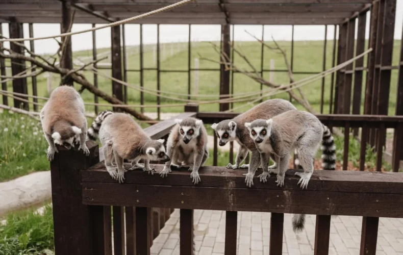 sigulda-zoo-002