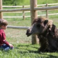 sigulda-zoo-013