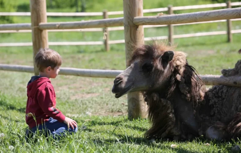 sigulda-zoo-013