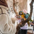 sigulda-zoo-016