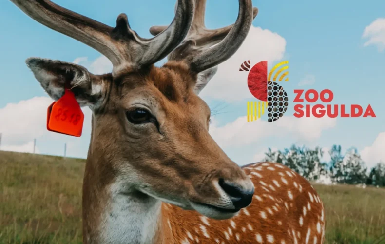 sigulda-zoo-018