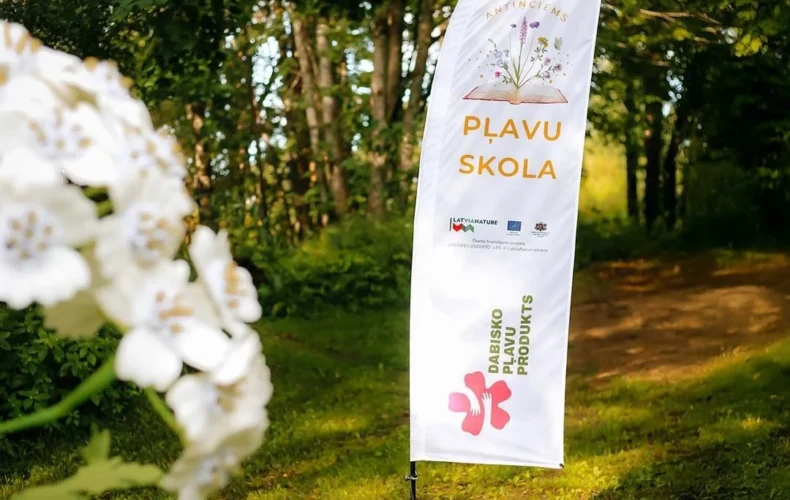 plavu-skola-004