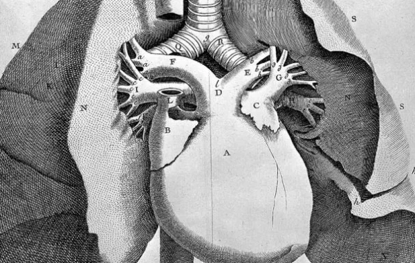 rsu-anatomijas-muzejs-001
