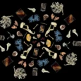 rsu-anatomijas-muzejs-005