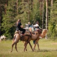 raksi-zoo-008
