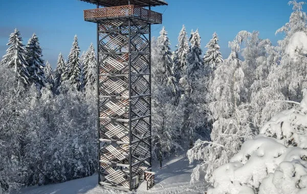 delinkalna-skatu-tornis-005