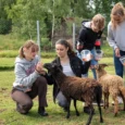 mini-zoo-mezini-001